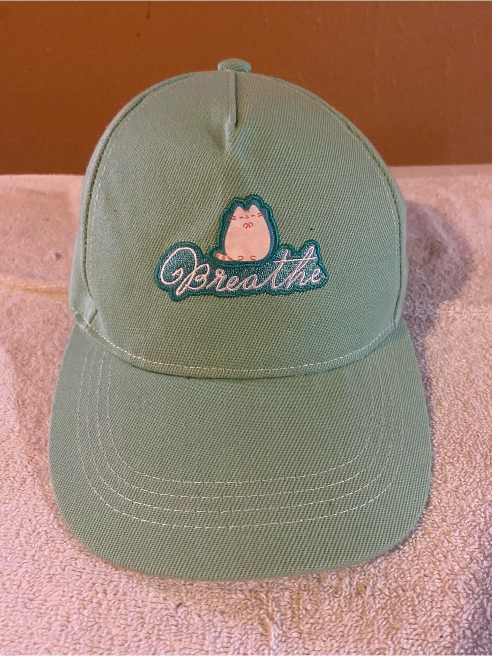 NWT Pusheen Box Spring 2021 Breathe Hat Mint Sage Green Pastel Baseball Cap